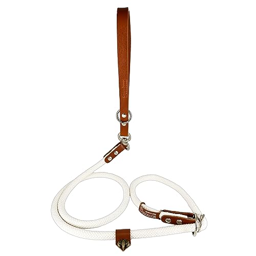 Hundeleine mit Halsband, 2 in 1, Baumwolle und Leder, für kleine, mittlere und große Hunde. Weiß&Cognac von AVANZONA