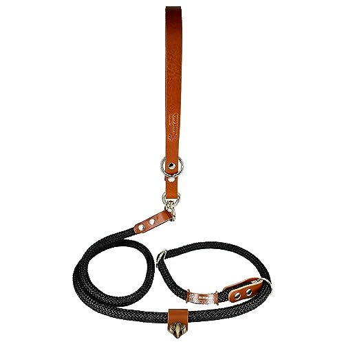 Hundeleine mit Halsband, 2 in 1, Nylon und Leder, für kleine, mittlere und große Hunde. Schwarz&Cognac von AVANZONA