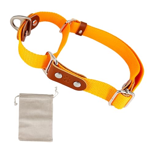 Martingalhalsband Hundewürgehalsband, Anti-Zug, Poly-Baumwolle und Leder. L. Orange & Cognac von AVANZONA