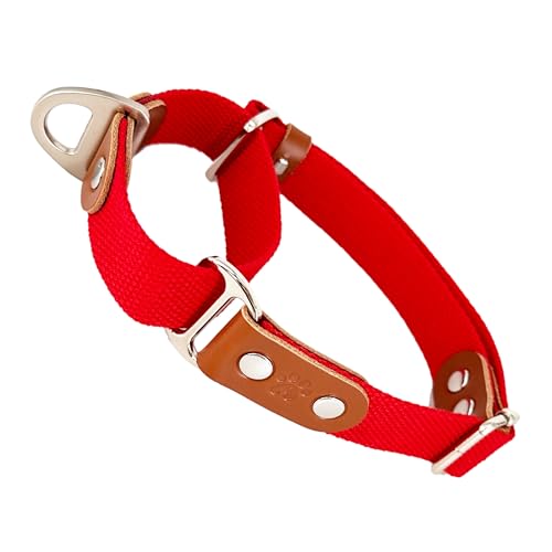 Martingalhalsband Hundewürgehalsband, Anti-Zug, Poly-Baumwolle und Leder. M. Rot & Cognac von AVANZONA