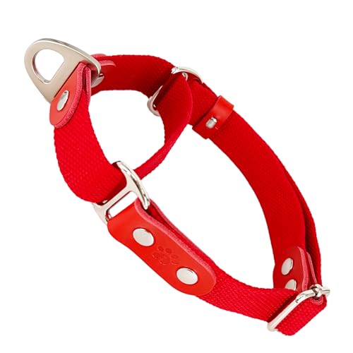 Martingalhalsband Hundewürgehalsband, Anti-Zug, Poly-Baumwolle und Leder. M. Rot & Rot von AVANZONA