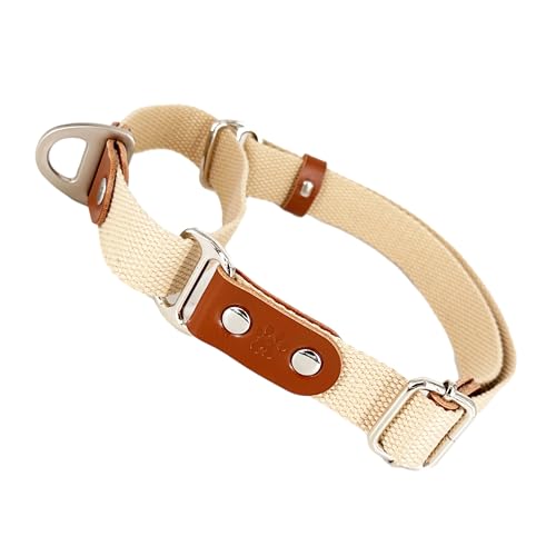 Martingalhalsband Hundewürgehalsband, Anti-Zug, Poly-Baumwolle und Leder. S. Beige & Cognac von AVANZONA