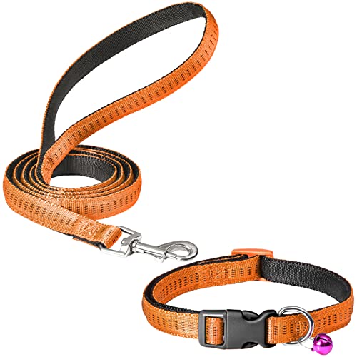 AVELORA Set mit Halsband und Leine, 122 cm, verstellbare Welpenleine und Halsband mit Glöckchen für kleine, mittelgroße Haustiere, ideales Geschenk für Welpen, Orange von AVELORA