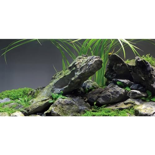AWERT 121,9 x 45,7 cm Stein-Aquarium-Hintergrund, Stein, Wasserpflanze, Flussbett und See, Seetang, Aquarium-Hintergrund, Vinyl-Hintergrund von AWERT