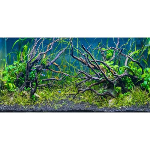 AWERT 121,9 x 45,7 cm Tropisches Aquarium-Hintergrund Flussbeet & See Wasserpflanze Unterwasserbaum Zweig Aquarium Hintergrund Vinyl von AWERT