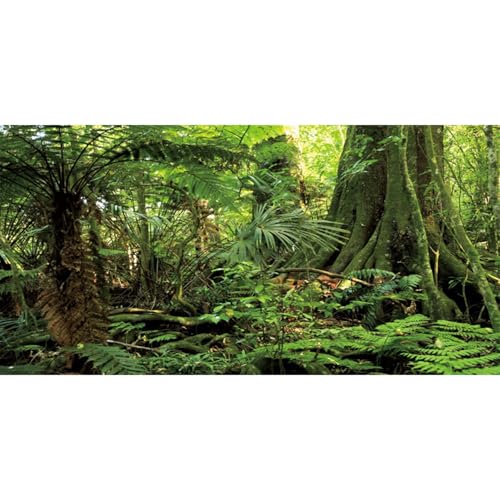 AWERT 121,9 x 45,7 cm Wald-Terrarium Hintergrund Stein Grün Riesiger Baum Reptilien Habitat Hintergrund Tropischer Regenwald Aquarium Hintergrund Durable Polyester Hintergrund von AWERT