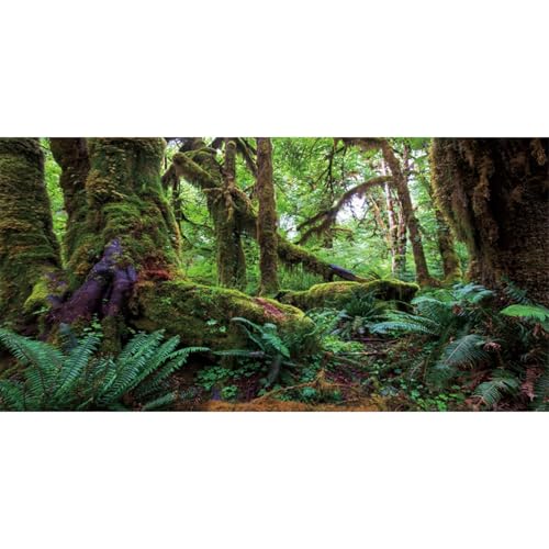 AWERT 152,4 x 61 cm Tropischer Wald Terrarium Hintergrund Grüner Riesiger Baum Reptilien Habitat Hintergrund Regenwald Aquarium Hintergrund Haltbarer Polyester Hintergrund von AWERT