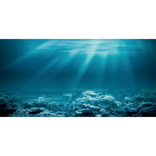 AWERT 61 x 30,5 cm Unterwasser-Hintergrund für Aquarien, Vinyl, Motiv Unterwasserwelt von AWERT