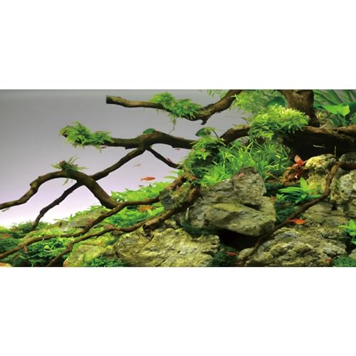 AWERT Aquarium-Hintergrund, 121,9 x 61 cm, Zweig, Stein, Flussbett und See, Aquarium-Hintergrund, Grünalgen, Aquarium-Hintergrund, Vinyl-Hintergrund von AWERT