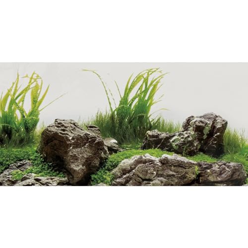 AWERT Aquarium-Hintergrund, 183 x 61 cm, Meeresalgen, Wasserpflanze, Flussbett und See, Aquarium-Hintergrund, Stein, Aquarium-Hintergrund, Vinyl-Hintergrund von AWERT