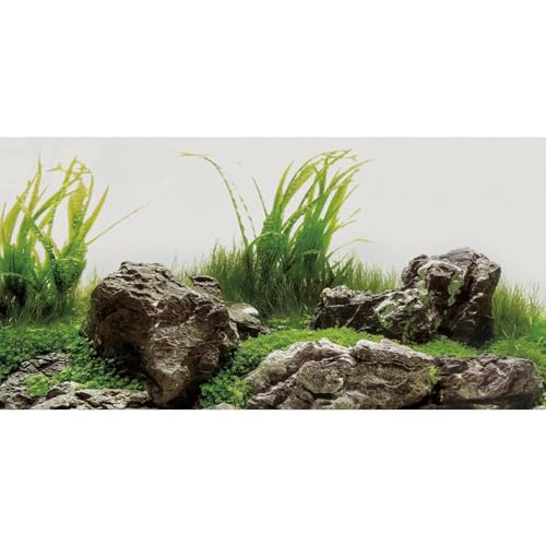 AWERT Aquarium-Hintergrund, 91,4 x 50,8 cm, Meeresalgen, Wasserpflanze, Flussbett und See, Aquarium-Hintergrund, Stein, Aquarium-Hintergrund, Vinyl-Hintergrund von AWERT