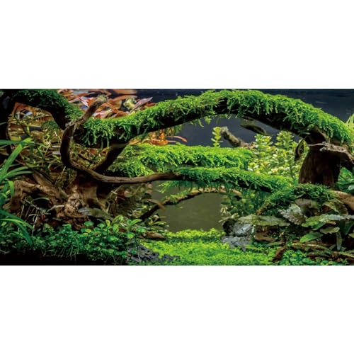 AWERT Aquarium-Hintergrund, Äste, Terrarium, Hintergrund, Wasserpflanze, Flussbett und See, Vinyl-Hintergrund, 91,4 x 50,8 cm von AWERT