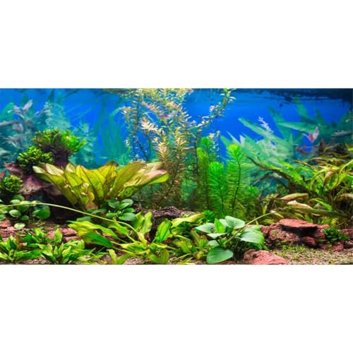 AWERT Aquarium-Hintergrund, Vinyl, 121,9 x 45,7 cm von AWERT