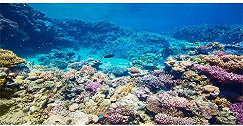 AWERT Aquarium-Hintergrund Korallenriff, tropische Fische, Unterwasser-Hintergrund, 91,4 x 50,8 cm, strapazierfähiger Polyester-Hintergrund von AWERT