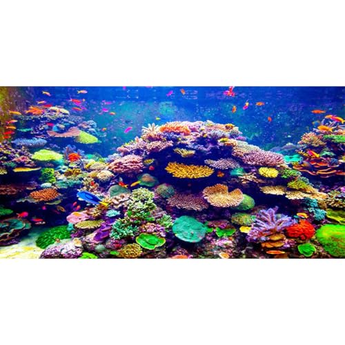 AWERT Aquarium-Hintergrund mit Unterwasser-Thema, 91,4 x 61 cm, strapazierfähiges Polyester, bunt, Koralle, tropische Fische, Unterwasserwelt, Aquarium-Hintergrund von AWERT