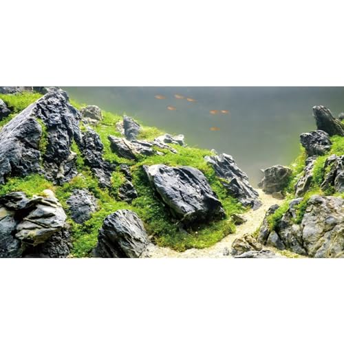 AWERT Hintergrund für Aquarien, 61 x 30,5 cm, für Wasserpflanzen, Flussbett und See, Aquarium-Hintergrund, Meeresalgen, Vinyl, Hintergrund von AWERT