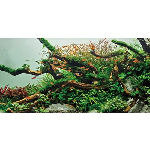 AWERT Hintergrund für Aquarien, 76,2 x 30,5 cm, Grünalgen, Aquarium-Hintergrund, Flussbett und See, Vinyl-Hintergrund von AWERT