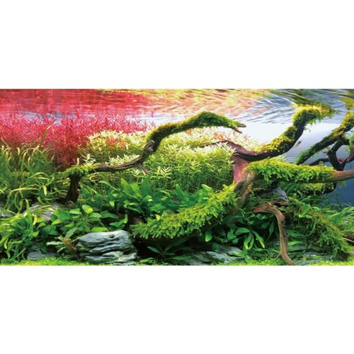 AWERT Hintergrund für Aquarien, 76,2 x 30,5 cm, für Aquarien, Hintergrund aus Seetang, Flussbett und See, Vinyl-Hintergrund von AWERT