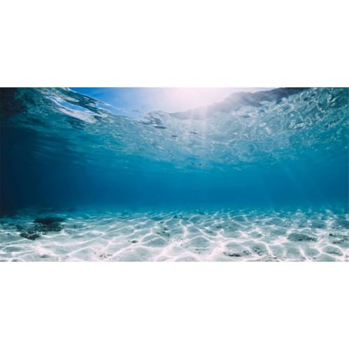 AWERT Hintergrund für Aquarien, 76,2 x 45,7 cm, strapazierfähiges Polyester, tropisches Aquarium von AWERT