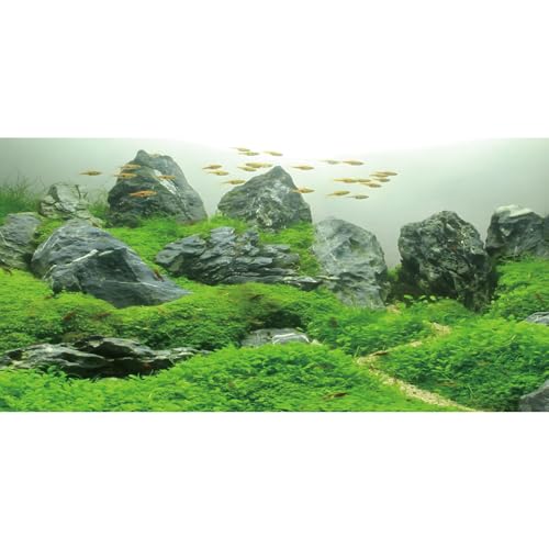 AWERT Hintergrund für Aquarien, 91,4 x 45,7 cm, für Wasserpflanzen, Flussbett und See, Vinyl-Hintergrund von AWERT