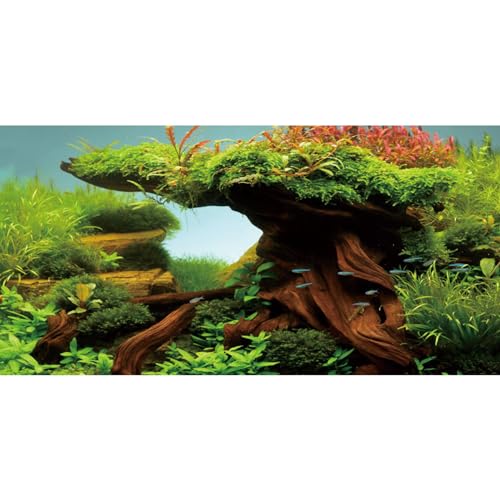 AWERT Hintergrund für Aquarien, Holz, 152,4 x 61 cm, Meeresalgen, Aquarium-Hintergrund, Flussbett und See, Aquarium-Hintergrund, Vinyl-Hintergrund von AWERT