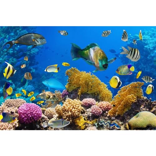 AWERT Hintergrund für Aquarien, Polyester, Unterwasserwelt, 121,9 x 45,7 cm, Unterwasser-Thema, bunt, Koralle, tropischer Aquarium-Hintergrund von AWERT