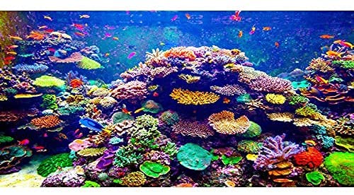 AWERT Hintergrund für Aquarien, Untersee-Motiv, 122 x 45 cm, Vinyl, bunt, Koralle, tropische Fische, Unterwasserwelt, Aquarium-Hintergrund von AWERT