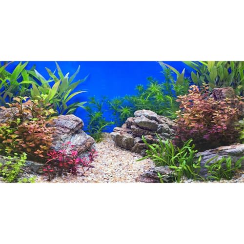 AWERT Hintergrund für Aquarien, Vinyl, 76,2 x 30,5 cm von AWERT