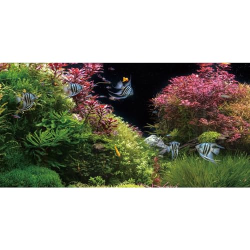 AWERT Hintergrund für Aquarium, Seegras, 121,9 x 61 cm, Rosa, Wasserpflanze, Flussbett und See, Vinyl-Hintergrund von AWERT