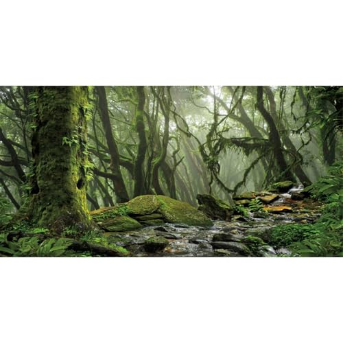 AWERT Hintergrund für Nebelwald, Terrarium, Bachlauf, grün, riesiger Baum, Reptilien-Lebensraum, tropischer Regenwald, Aquarium-Hintergrund, 121,9 x 61 cm, strapazierfähiger Polyester-Hintergrund von AWERT