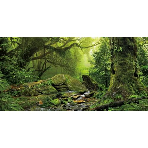 AWERT Tropischer Wald Terrarium Hintergrund Bach Grün Riesiger Baum Reptil Habitat Hintergrund Nebel Regenwald Aquarium Hintergrund 121,9 x 50,8 cm Durable Polyester Hintergrund von AWERT