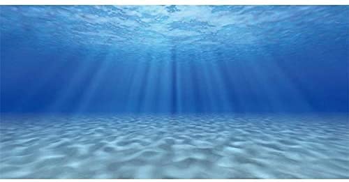 AWERT Unterwasser-Hintergrund für Aquarien, 76,2 x 30,5 cm von AWERT