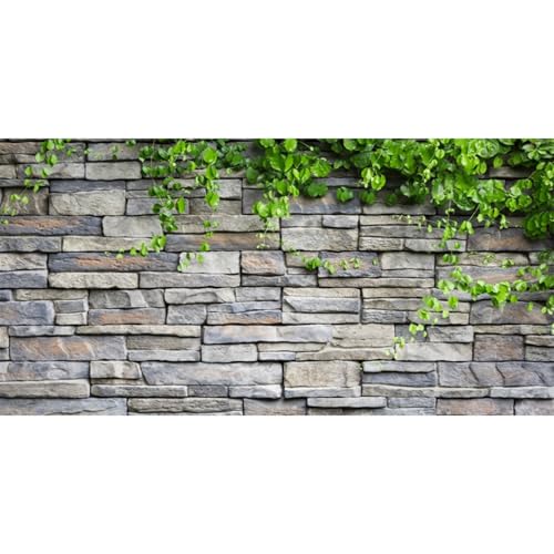 AWERT Vinyl 76,2 x 30,5 cm Steinmauer Aquarium Hintergrund Felsen Aquarium Hintergrund Frühling Blätter Terrarium Hintergrund von AWERT