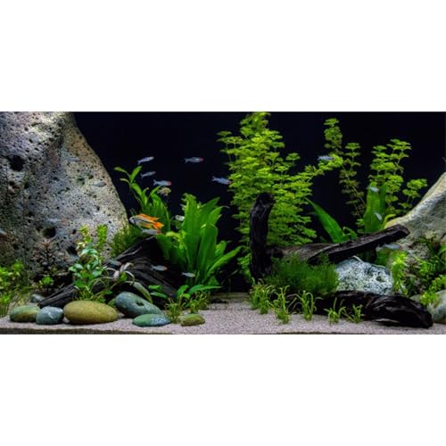 AWERT Vinyl-Hintergrund für Aquarien, Unterwasserpflanze, Stein, Flussbett und See, 121,9 x 61 cm von AWERT