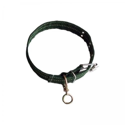 ＡＷＨＡＯ 2X Hundehalsband mit Metallschnalle, Stoffgurtband, Langlebig, Bequem, Passend für Alle Rassen, Hundehalsband für Und Joggen von ＡＷＨＡＯ