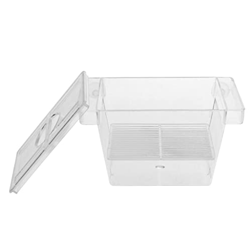 ＡＷＨＡＯ Aquarium Hochtransparent Aquarium Aqu Inkubator Klein von ＡＷＨＡＯ