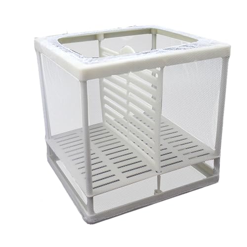 ＡＷＨＡＯ Aquarium Isolation Net Fisch Tank Teiler Box Juvenile Spawning Aquarium Trennung Grid Fisch Fütterung Container, S with Clapboard von ＡＷＨＡＯ