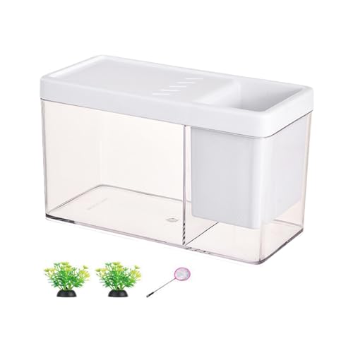 ＡＷＨＡＯ Fischschalen Sets für Aquarien, Mini Brütereien, Terrarien, Zubehör für Wohnzimmer, Büro, Algenbälle, Schildkröten, Elfenbeinweiß von ＡＷＨＡＯ