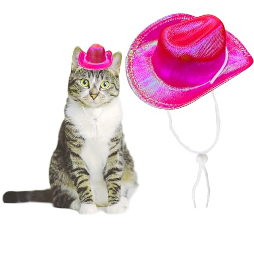 AWOCAN Cowboyhut für Hunde, Katzen, Cowboyhut, Cowboy-Kostüm, Mini-Cowboyhut für Hunde, Katzen, Urlaub, Halloween, Haustier-Party-Dekoration (Rose Red-Style2, klein) von AWOCAN