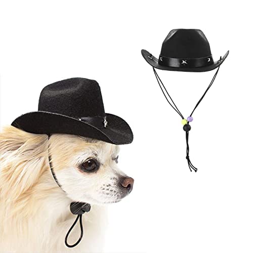 AWOCAN Hundekostüm, Cowboyhut, Cosplay, Kappe, Welpen, Hund, Katze, Urlaub, Haustier-Party-Dekoration, Schwarz von AWOCAN