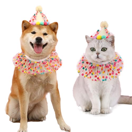 AWOCAN Katze Hund Geburtstag Hut Schal Set Welpe Prinzessin Kostüme Party Hut Spitze niedliche Katze Outfit Dots Bandana Doggy Katze Geburtstag Dekorationen Haustier Party Zubehör (Farbe-1) von AWOCAN