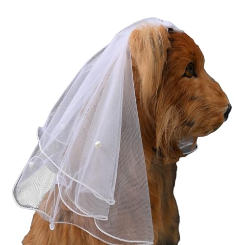 AWOCAN Schleier für Hunde Katze Haustier Schleier Kleid Braut Kostüm Schleier für Valentinstag Hochzeit Party Dekoration Hund Haar Schleife Clips Haarnadel Kopfbedeckung Hund Haarschmuck (Weiss-2) von AWOCAN