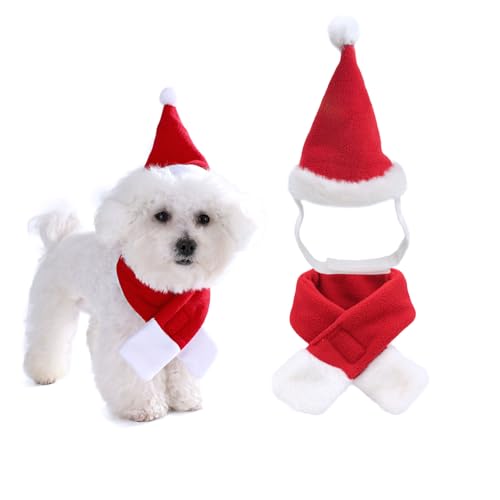 AWOCAN Weihnachtsmütze für Katzen, Schal, Weihnachtsmütze, Weihnachtsoutfit mit rotem Schalldämpfer, für kleine Hunde, Weihnachtskostüm für Weihnachten, Party, Fotos (Rot, L) von AWOCAN