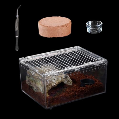 Kleines Reptilien-Terrarium, Amphibien-Tank-Starter-Set, Reptilien-Futterbox, geeignet für Baumspinne, Skorpionschlinge, Eidechsen, Schlange, Gecko, springende Spinne, Schnecke, Insekten-Isopoden von AWXZOM