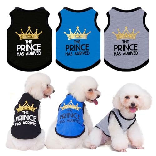 AXIIJGL 3 Stück Kleine Hunde Shirts Sommer Haustier T-Shirts Weiche Welpen Baumwolle T-Shirts Coole Prinz Welpen Shirts Bedruckt Hund Ärmellos Hemd Weste mit Lustigen Buchstaben für Kleine Hund Katze Junge L von AXIIJGL