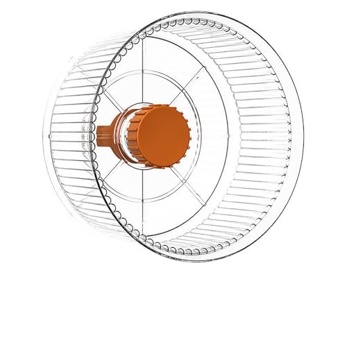 Durchsichtig,12cm,AXOINLEXER Laufrad für Hamster, 16cm, geräuschlos, Sport-Jogging-Trainingsrad für Haustiere, für Kleintiere, Rennmäuse, Mäuse von AXOINLEXER