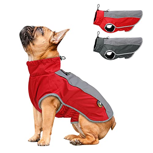 AxSpeed Hundebekleidung für Herbst und Winter, warm, gepolstert, wasserdichte Jacke (rot, 2XL) von AXSPEED