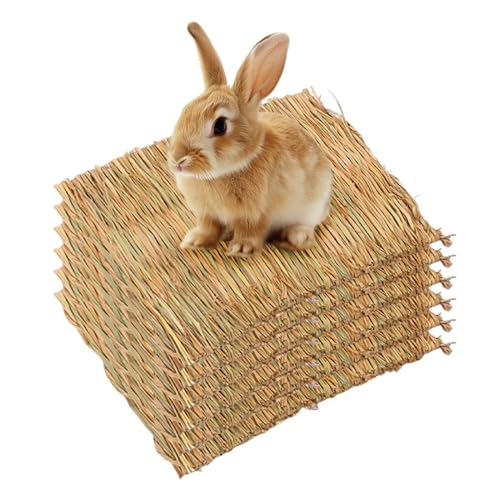 AYLIORUY Kaninchen-Grasmatten, 39,9 x 27,9 cm, natürlich, gewebt, Kaninchen, Bett, Käfig-Matte, Haustier-Bettwäsche, kühlendes Schlafen, Nistspielzeug für Hamster, Hasen, Chinchillas, Meerschweinchen, von AYLIORUY