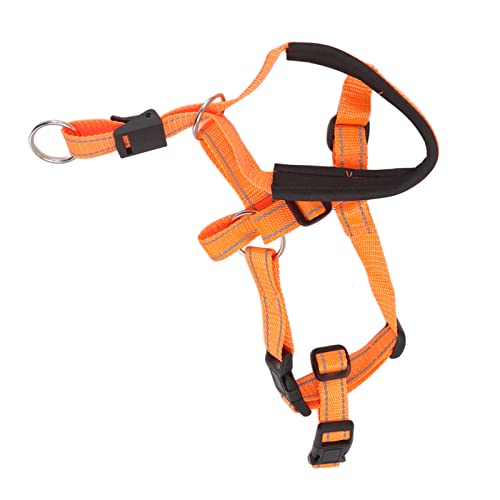 AYNEFY Hundemaulabdeckung, Hundekopfhalsband, Hund Gegen Bellen und Beißen, Verstellbare Haustier-Mundabdeckung für Kleine, Mittelgroße und Große, Atmungsaktive, Gepolsterte (Orange) von AYNEFY