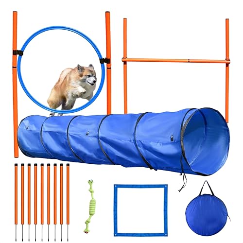 AYOO Agility für den Hund, Agility mit hundetunnel, Hunde Agility-Set, Hundetraining, Tunnel, Slalom, Hürde, Tragebeutel, Kostenloses Spielseil von AYOO